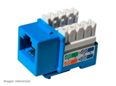 Conector Hembra- categoria 6- X CLASS color Azul